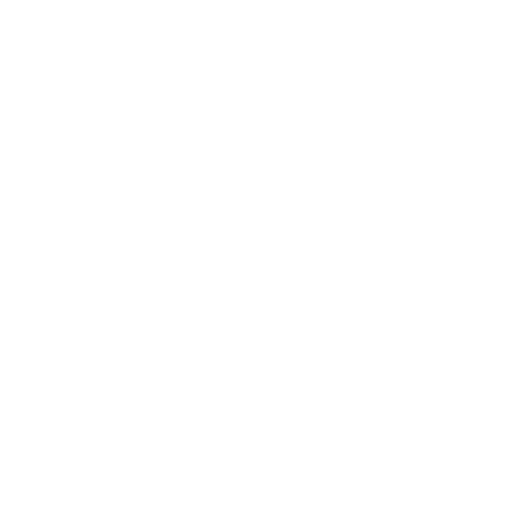 Velux Voy